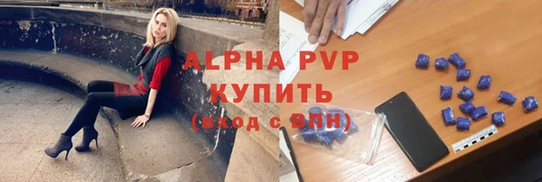 гидра Корсаков