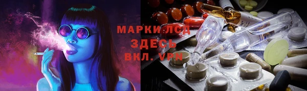 дмт Краснослободск