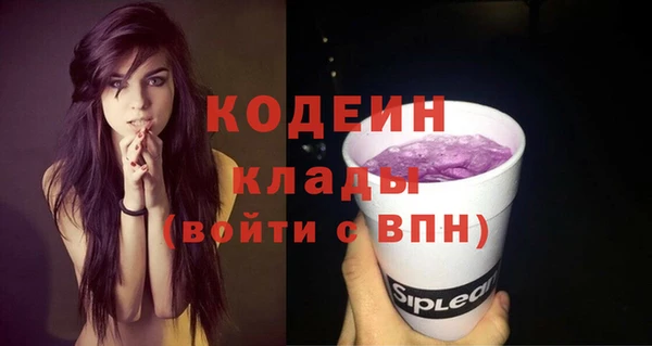 дмт Краснослободск