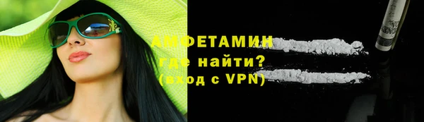 дмт Краснослободск