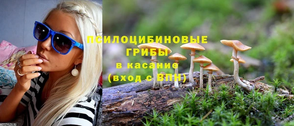 трава Краснотурьинск