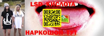 трава Камышлов