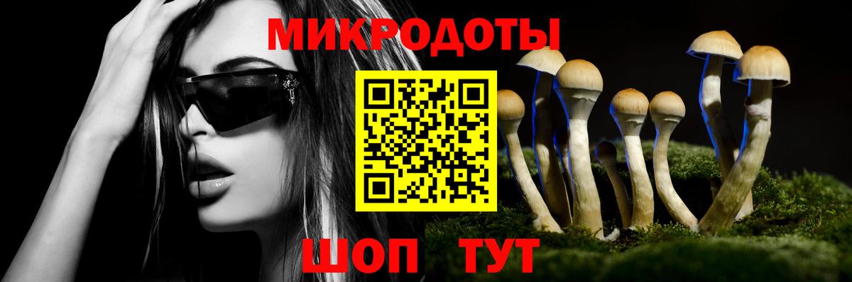 Псилоцибиновые грибы Magic Shrooms  наркота  Ростов-на-Дону  Галлюциногенные грибы Magic Shrooms  Вход с VPN 